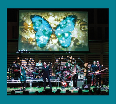 A Stone's Throw From The Line